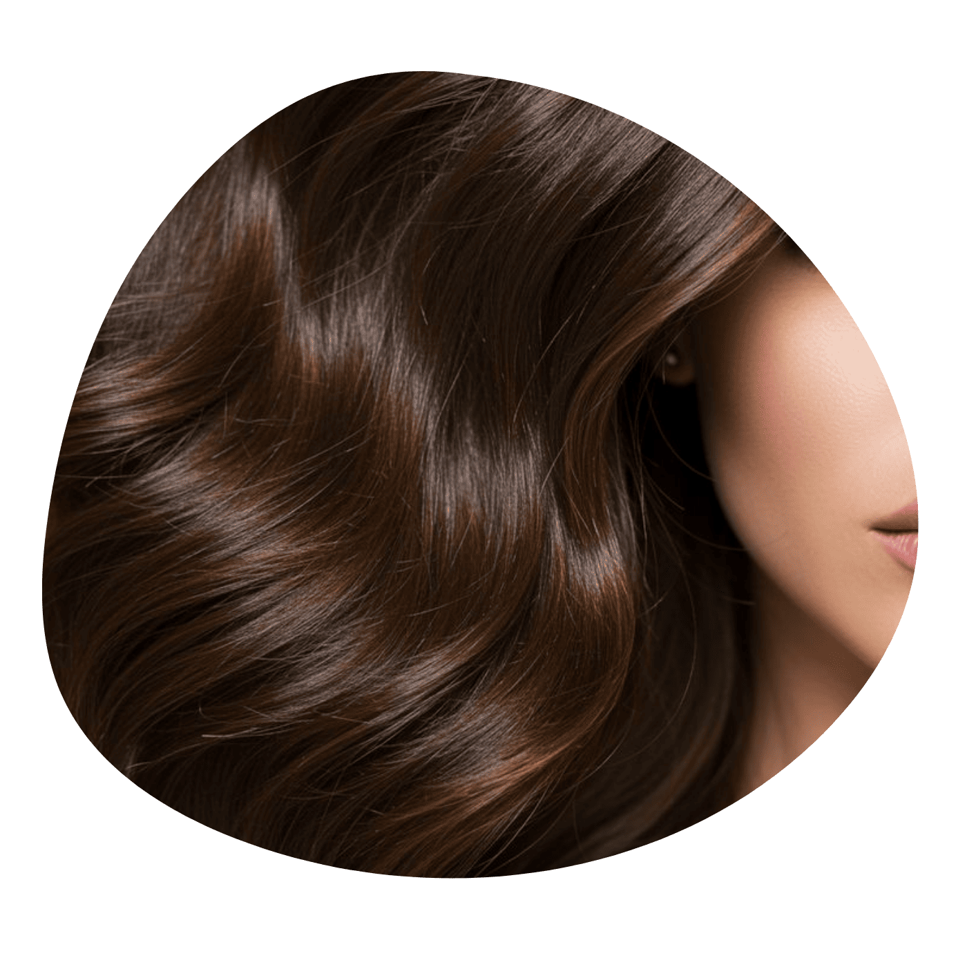 Soins Cheveux